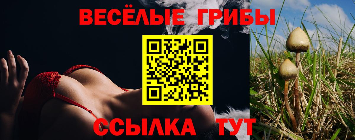 Галлюциногенные грибы Psilocybine cubensis Сергиев Посад